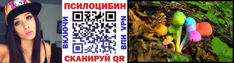 купить   Валуйки  Псилоцибиновые грибы MAGIC MUSHROOMS 